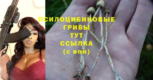 СК Балабаново