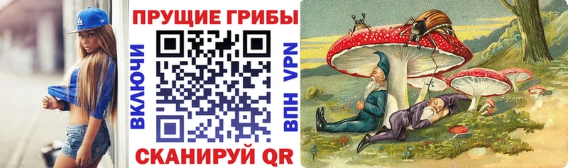 Галлюциногенные грибы Psilocybine cubensis Вяземский
