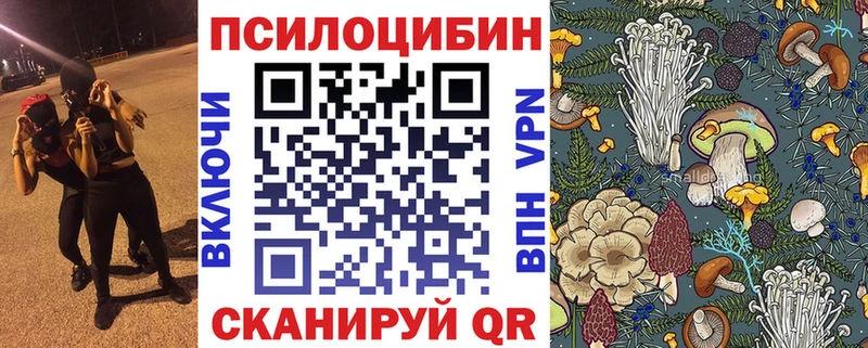 Псилоцибиновые грибы Psilocybe  Вяземский 